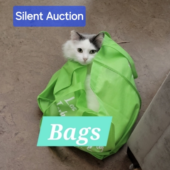 Live Show Flyer - Picture 8 of 10